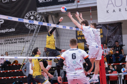 17. kolo EX-M: VK ČEZ Karlovarsko - Volejbal Brno